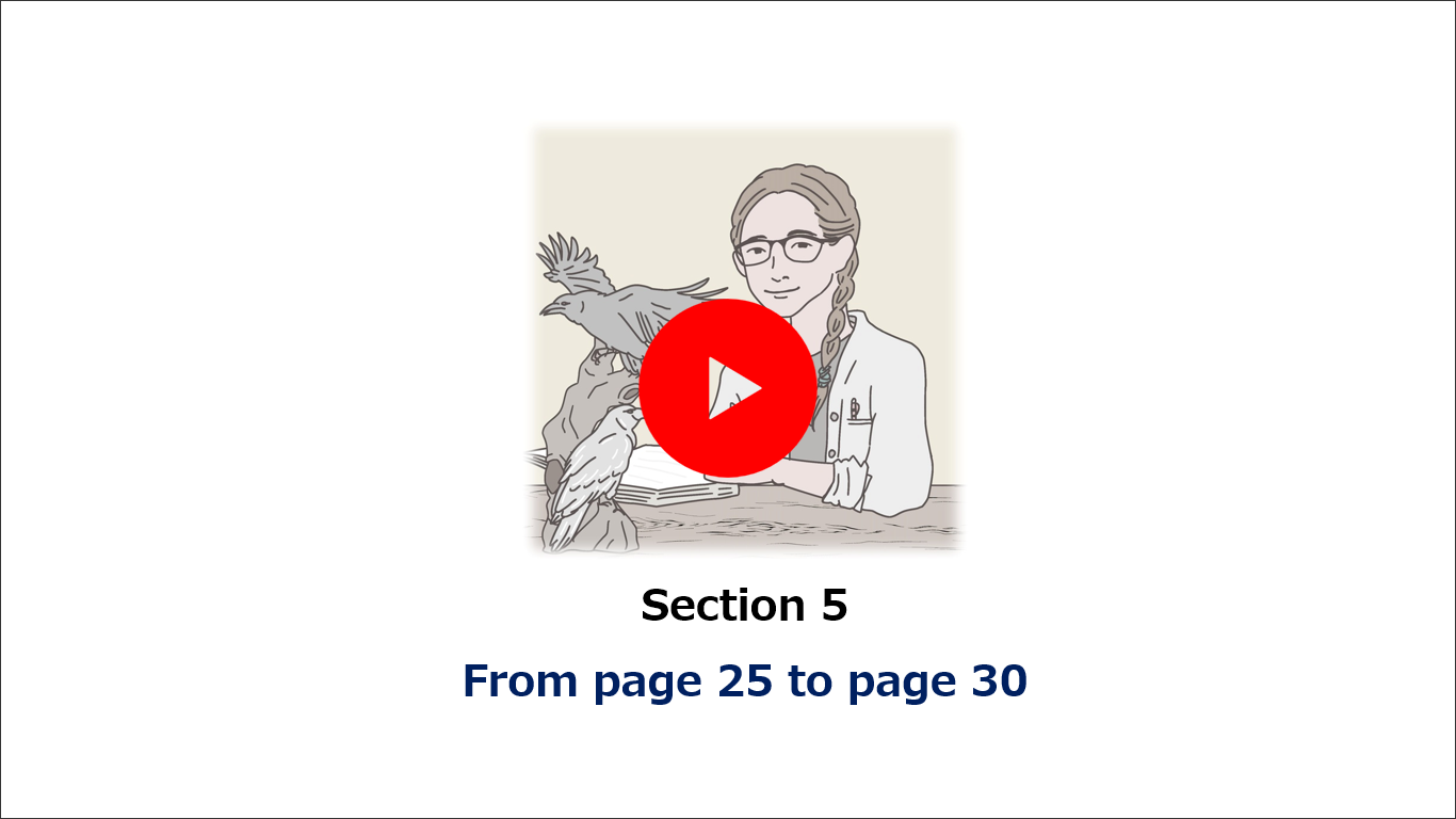 Section 5 From page 25 to page 30